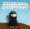 truth ninja