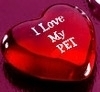 ♥~I Love My Pet~♥