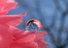 ~A drop of Happiness~