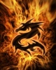 fire dragon 