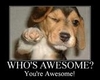 who's awesome? YOUR awesome