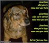 Dog's poem