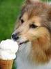 Some Ice Cream