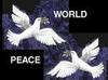 peace for all