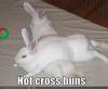 Hot Cross Buns