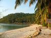 Walk On A Tropical Beach