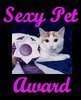 sexiest pet award