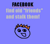 ~ Friendly Stalker ~