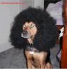 Afro Dog Style
