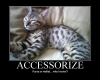 The Purfect Accessory