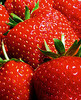 strawberries for u 