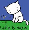 Its a hard life............ ....