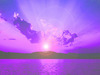 Romantic purple sunset