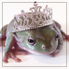 a frog prince