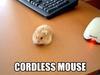 cordless mouse ^.^