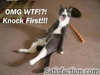 wft!!