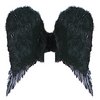 Black Angle Wings