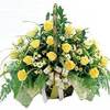 50 Yellow Roses