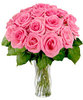 ♥ 24 Beautiful Pink Roses