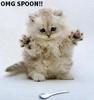 a spoon! omg!