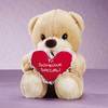 to someone special bear