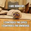 Dunecat!