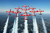 Fly with the Canadian Snowbirds