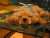 I miss you!!!!