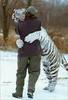 Tiger hug!