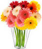 ♥ flowers to brighten your day