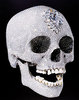 Diamond Skull