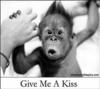 Com'on! Give Me A Kiss!