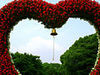 a stroll through my heart