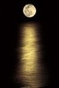 Moonlight walk on the beach
