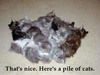 Pile of Cats