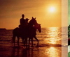 Sunset Horse ride on the beach