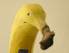 Banana mini pet