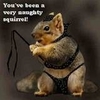 Naugthy Squirrel!