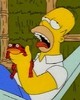A Stoned Homer