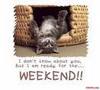 Have a great weeknd