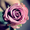 For a wonderful person ♥