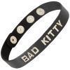 bad kitty