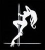 Pole dancing lesson