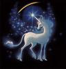 The last unicorn