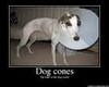 Dog Cone