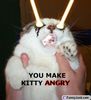 ANGRY CAT!