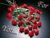 ~Lovely red roses for u~