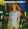 Transgender Ken
