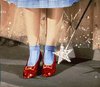Ruby Slippers to keep you safe!