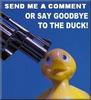 Save the duck!